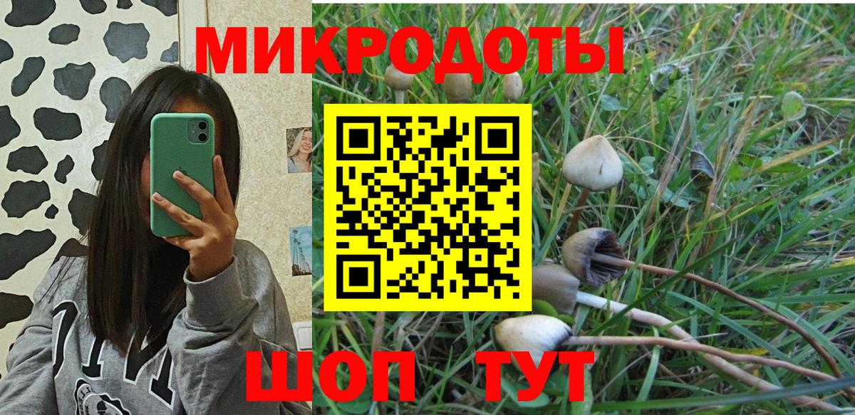 Псилоцибиновые грибы Magic Shrooms  Галлюциногенные грибы GOLDEN TEACHER  Вход с VPN  Трёхгорный 