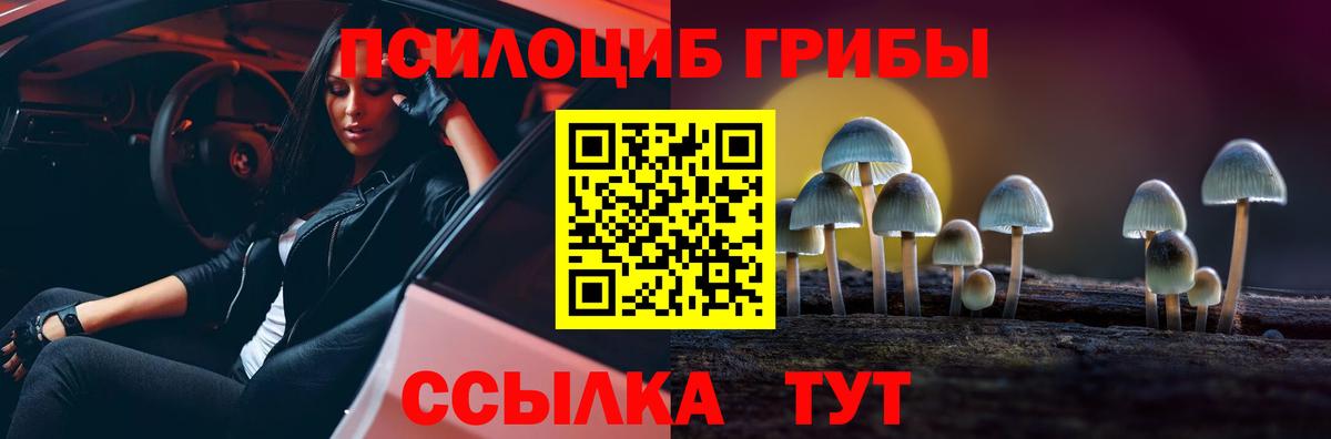 Галлюциногенные грибы прущие грибы Трёхгорный